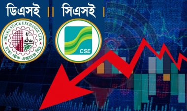 শেয়ারবাজারে বড় দরপতন, কমেছে লেনদেন