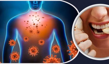 শরীরের রোগ প্রতিরোধ ক্ষমতা বাড়বে যে খাবারে