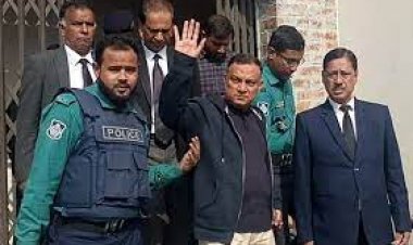 দুদিনের রিমান্ডে বিএনপি নেতা শরীফুল আলম