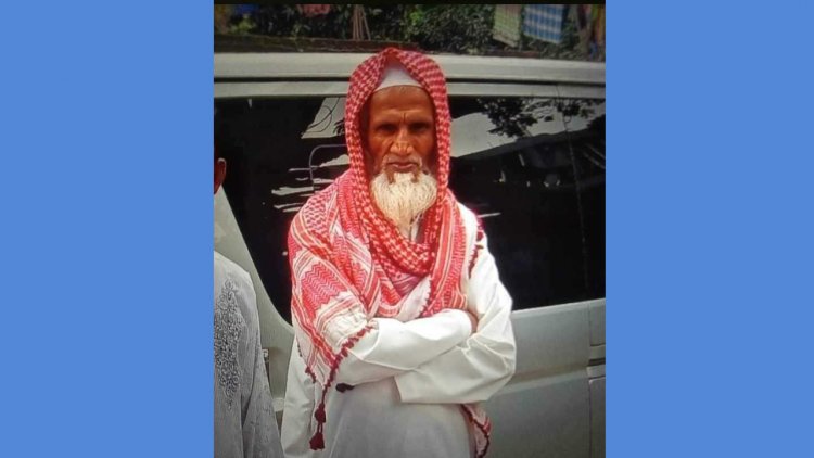 মোবাইলে কথা বলতে বলতে ফেরি থেকে নদীতে পড়ে নিখোঁজ বৃদ্ধ