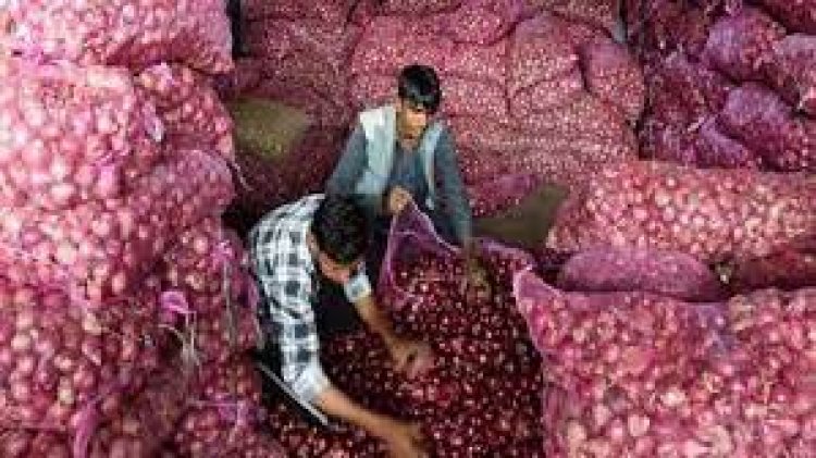 পিয়াজ কারসাজিতে পুরনো সিন্ডিকেট