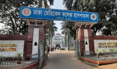 প্রবাস ফেরত স্ত্রীকে ভিডিও কলে রেখে স্বামীর আত্মহত্যা