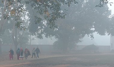 পঞ্চগড়ে মৃদু শৈত্যপ্রবাহ