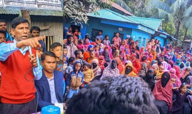 নৌকায় ওপেন সিল মারার নির্দেশ ইউপি সদস্য’র