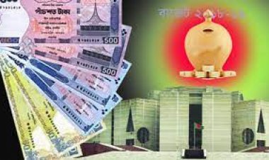 আর্থিক খাত বাড়লেও হলেও তদারকি কম