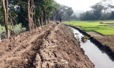  কৃষিজমির মাটি কেটে রাস্তা বানাচ্ছেন ঠিকাদার