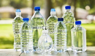 ১ লিটার পানির বোতলে প্রায় ২ লক্ষ ৪০ হাজার প্লাস্টিকের টুকরা থাকে: গবেষণা