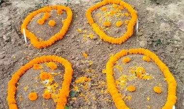 ফরিদপুরে একসঙ্গে জন্ম নেওয়া চার নবজাতক মারা গেছে