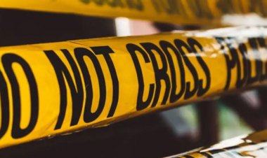 লন্ডনে বন্দুকধারীর গুলি, আহত ৪