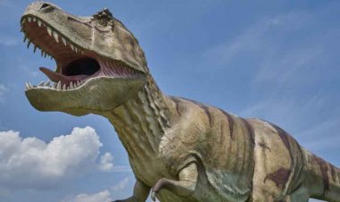 ডাইনোসরদের সময়কার জঙ্গলের খোঁজ মিললো যুক্তরাষ্ট্রে