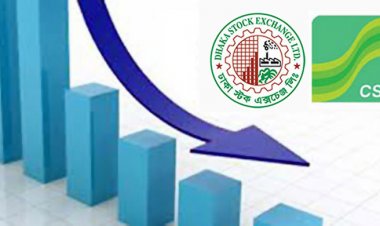 শেয়ারবাজারে বড় পতন