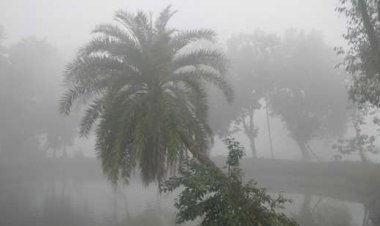 চুয়াডাঙ্গায় দেশের সর্বোনিম্ন তাপমাত্রা ৬.৬ ডিগ্রি