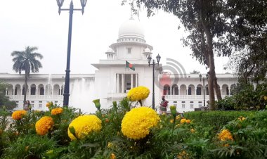  আদালত কক্ষ থেকে লোহার খাঁচা সরানোর নির্দেশনা চেয়ে হাইকোর্টে রিট