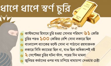 কাস্টমসের ৬১ কেজি সোনা চুরি, রাঘব-বোয়ালদের খোঁজে দুদক