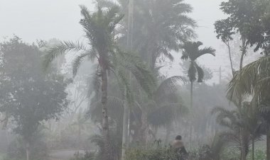 তেঁতুলিয়ায় দেশের সর্বনিম্ন তাপমাত্রা: শীতের মধ্যে ৪ বিভাগে বৃষ্টির আভাস