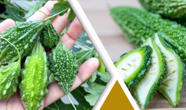  শীতে সুস্থ থাকতে দৈনিক পাতে রাখুন এই সবজি