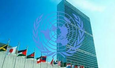 বিরোধী দলের ২৫ হাজার নেতাকর্মীকে মুক্তির আহ্বান জানালো জাতিসংঘ