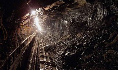 মালিতে সোনার খনিতে সুড়ঙ্গ ধসে নিহত ৭৩