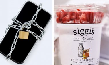 স্মার্টফোন হাতছাড়া হলেই মাসে 8 লাখ টাকা আয়! সুযোগ দিচ্ছে মার্কিনি সংস্থা