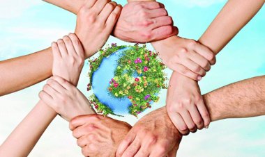 ইসলাম হচ্ছে পৃথিবীর শান্তি ও মুক্তির ঠিকানা