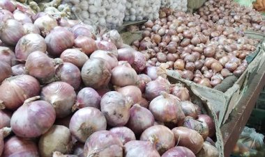  আবারও সেঞ্চুরি হাঁকালো পেঁয়াজ!