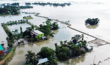 হাওরে বন্যা ব্যবস্থাপনায় পরামর্শক ব্যয় বাড়ালো ২০ কোটি টাকা