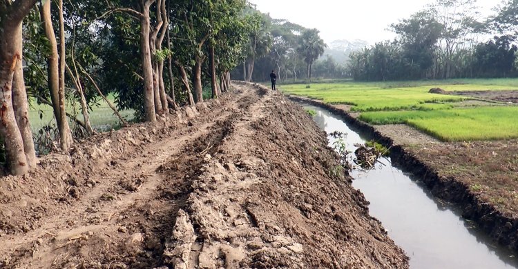 কৃষিজমির মাটি কেটে রাস্তা বানাচ্ছেন ঠিকাদার
