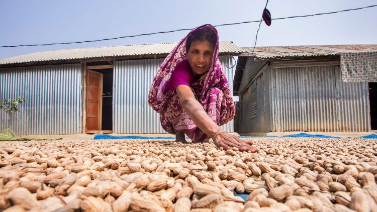 জলবায়ুর পরিবর্তনের প্রভাবে বদলেছে ১৭ ভাগ কৃষকের চাষাবাদের ধরন