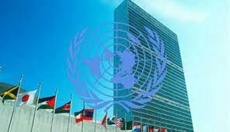 বিরোধী দলের ২৫ হাজার নেতাকর্মীকে মুক্তির আহ্বান জানালো জাতিসংঘ