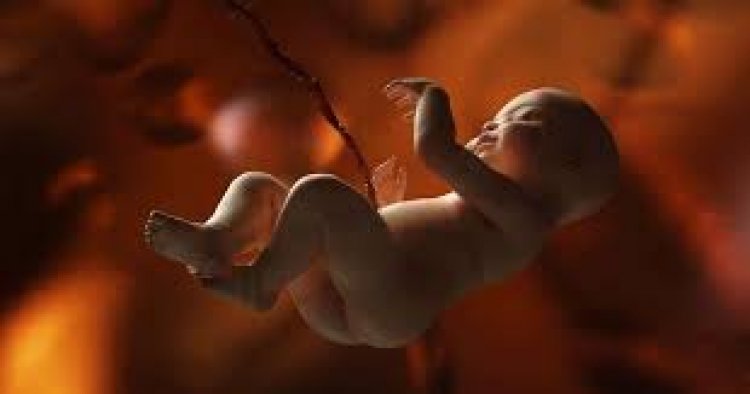 মাতৃগর্ভের শিশুর লিঙ্গ প্রকাশ করা যাবে না