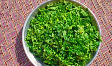 উপকারী ৩টি শাক সম্পর্কে জেনে নিন