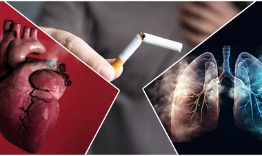 ধূমপান ছাড়ার ১ মাসের মধ্যে ফুসফুস ও হার্টে যা ঘটে