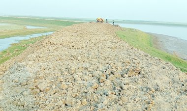 পাঁচ বছরে বাঁধ ভেঙে সুনামগঞ্জে ভেসে গেছে ৬০০ কোটি টাকার ধান