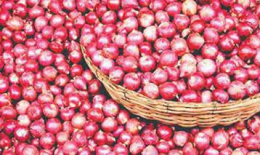 কেজিতে প্রতিদিন ৩ টাকা করে বাড়ছে পেঁয়াজের দাম