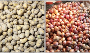 আলুর দাম কমলেও পেঁয়াজের বাজার গরম