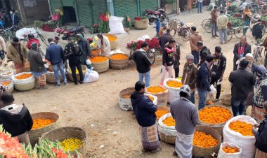 ফাগুন হাওয়ায় গাঁদা ফুলের আগুন দাম