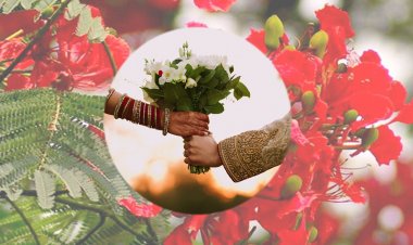 আজ বসন্ত, আজ ভালোবাসার দিন