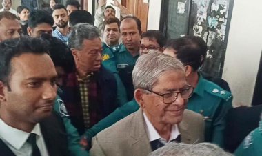 মির্জা ফখরুল-খসরুর জামিন, কারামুক্তিতে বাধা নেই