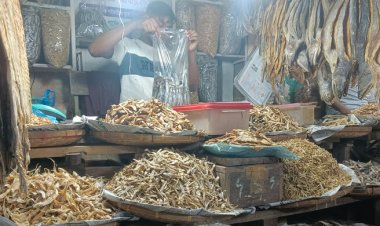 বসন্তের শুরুতে সবজির দাম কমলেও বেড়েছে ব্রয়লার মুরগি ও শুঁটকির