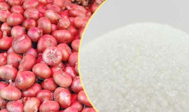  রোজার আগেই ভারত থেকে দেড় লাখ টন পেঁয়াজ-চিনি আনা হবে