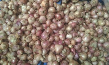 এখনো চড়া দামে বিক্রি হচ্ছে পেঁয়াজ, ক্রেতাদের ক্ষোভ