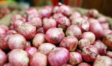 বাংলাদেশকে পেঁয়াজ দিতে নীতিগত সম্মতি দিয়েছে ভারত:  বাণিজ্য প্রতিমন্ত্রী