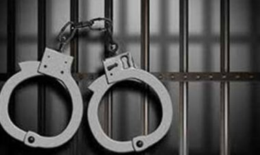 ঢাকায় কিশোর গ্যাংয়ের ৪৪ সদস্য গ্রেফতার