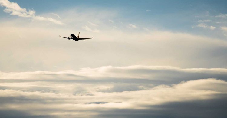 ফ্লোরিডায় প্লেন বিধ্বস্ত, নিহত ২