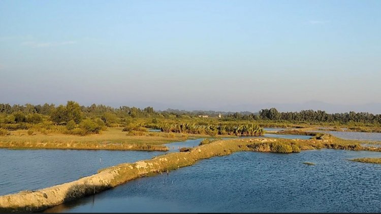 টেকনাফ সীমান্তে চাপা আতঙ্ক, চিংড়ি ঘের নিয়ে বিপাকে মৎস্য চাষিরা