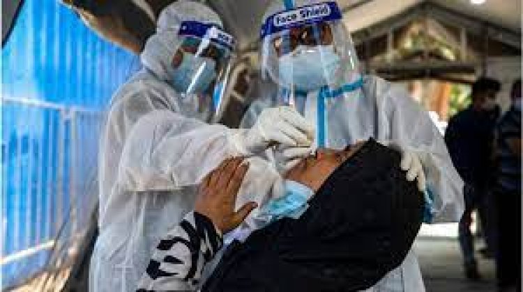 ৫১ জনের করোনা শনাক্ত, মৃত্যু নেই