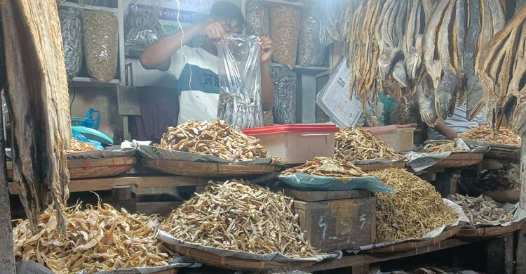 বসন্তের শুরুতে সবজির দাম কমলেও বেড়েছে ব্রয়লার মুরগি ও শুঁটকির