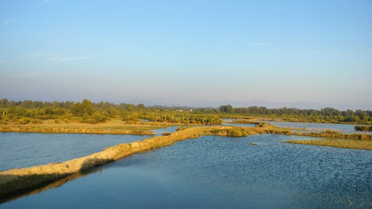 টেকনাফ সীমান্তে ফের গোলাগুলির শব্দ, আতঙ্কে সাধারণ মানুষ