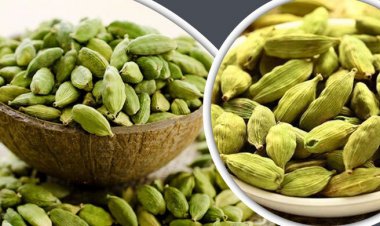  খাতুনগঞ্জে ‘স্লিপ’ বেচাকেনার কুচক্রে এলাচ