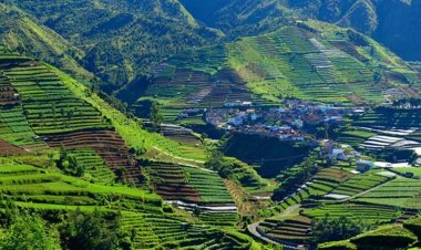 ভূমিকম্পে কাঁপল ইন্দোনেশিয়ার জাভা দ্বীপ